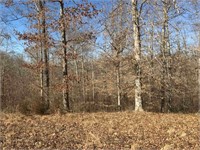 31.86 Acres in 1 Tract