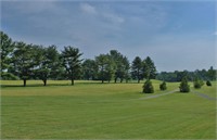 Auction of the Nolichucky View Golf Club, LLC
