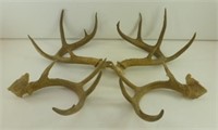 2 Sets of Deer Horns