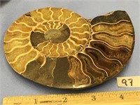 Choice on 2 (96-97) 5 1/2" ammonite fossils