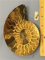 Choice on 2 (96-97) 5 1/2" ammonite fossils
