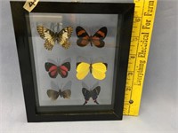 Choice on 2 (39-40): 6 butterfly shadow box collec