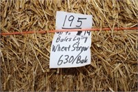Straw-Lg. Squares-Wheat