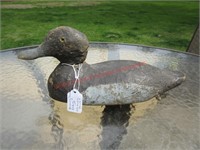 Blue Wing Teal