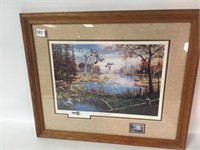 Framed Duck Print by Ken Zylla, Signed w/Stamp