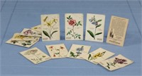 15 Coca Cola Flower Collector Cards 1920's