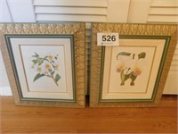 Pair of John Nugent Finch Orchid prints in nice