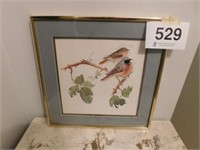 Redstart bird print in 16 x 20 frame, Strange is