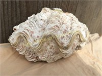 Large Mineralized Clam