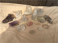 Assorted Lot of Fossilized and Mineralized Rocks