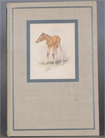 6 Books incl: Steinbeck. THE RED PONY. 1st illus.