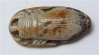 Chinese Carved Nephrite Jade Cicada Amulet