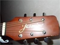 Jasmine by Takamine guitar