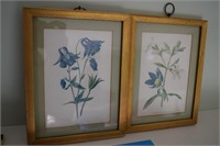 2-Flower Prints (5x8)