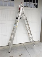 Pro Lite Aluminum Ladder