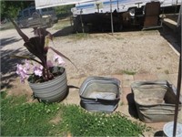 PLANTS, WASH TUBS