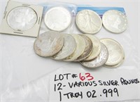 12 Assorted 1 Troy Oz .999 Fine Silver Rounds
