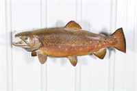 29" Brown Trout, Fish Skin Mount, Excellent
