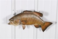 17" Smallmouth Bass, Fish Skin Mount, Excellent