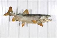 41" Lake Trout, Fish Skin Mount, Good Condition,