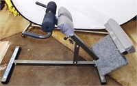 HiPerformance Fitness Back Extension Bench