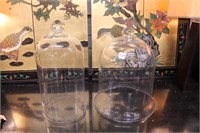 2 Large Glass Domes