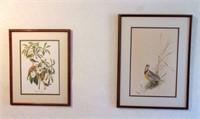 Pair of Framed and Matted Bird Prints