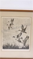 Duck Pencil Art "Pintails Rising" by R. H.