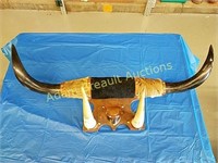 34 inch mounted cattle horns