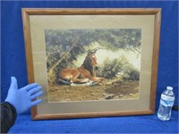 signed horse litho by B.L. Marris 531/1000