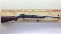 Remington .22 bolt action. Gun