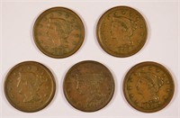 lBetter Grade Large Cent Lot.