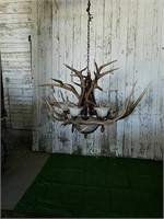 Elk antler chandelier