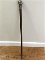 Walking Stick with Silver color top