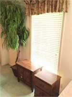 Ficus tree, 2 chests