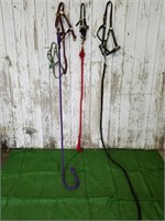 Halter and lead ropes