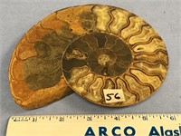 Choice on 2 (56-57): 6" ammonite fossil          (