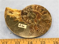 Choice on 2 (25-26): 4.25" ammonite fossil