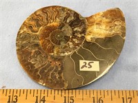 Choice on 2 (25-26): 4.25" ammonite fossil