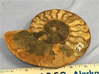 Choice on 2 (56-57): 6" ammonite fossil          (