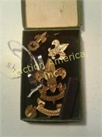 Boy Scouts of America Vintage Pin Set