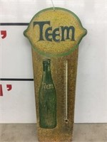 Teem Thermometer With Bottle