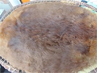 Authentic Native Beaver Tanned Hide