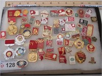 100 Russian Pins in 12 X 16 Case Under Glass