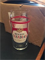 New Molson Canadian Beer Glasses x 12
