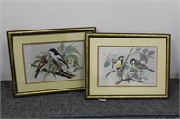 Two Framed Bird Prints Signed and Dated