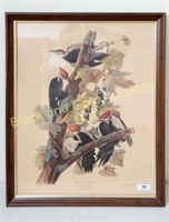 Framed Pleated Woodpecker calendar sheet