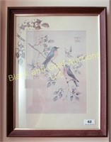 Framed 'Missouri's Bluebirds and Dogwood' print