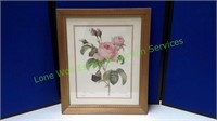 Pink Rose Framed Print