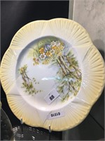 SHELLY COLLECTORS PLATE